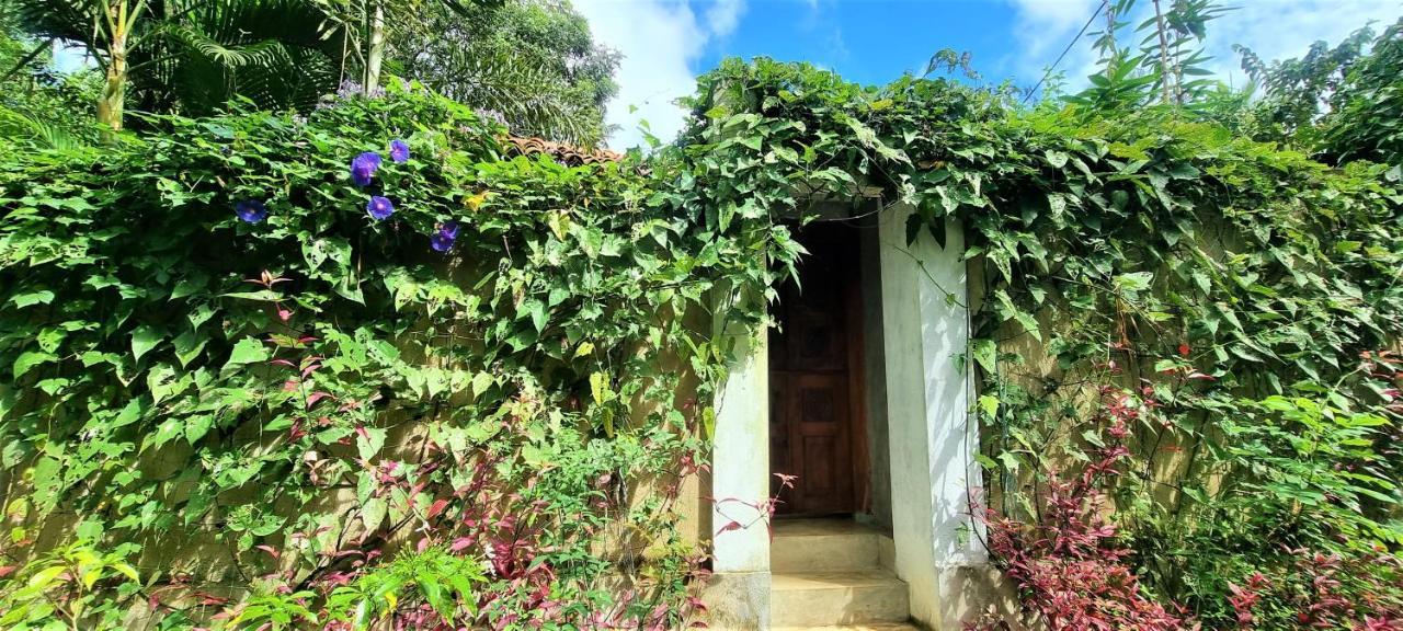 Sand Dollar House, Hiriketiya ديكويلاّ تين المظهر الخارجي الصورة