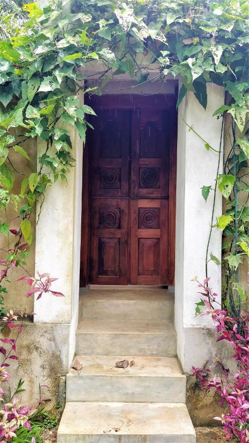 Sand Dollar House, Hiriketiya ديكويلاّ تين المظهر الخارجي الصورة