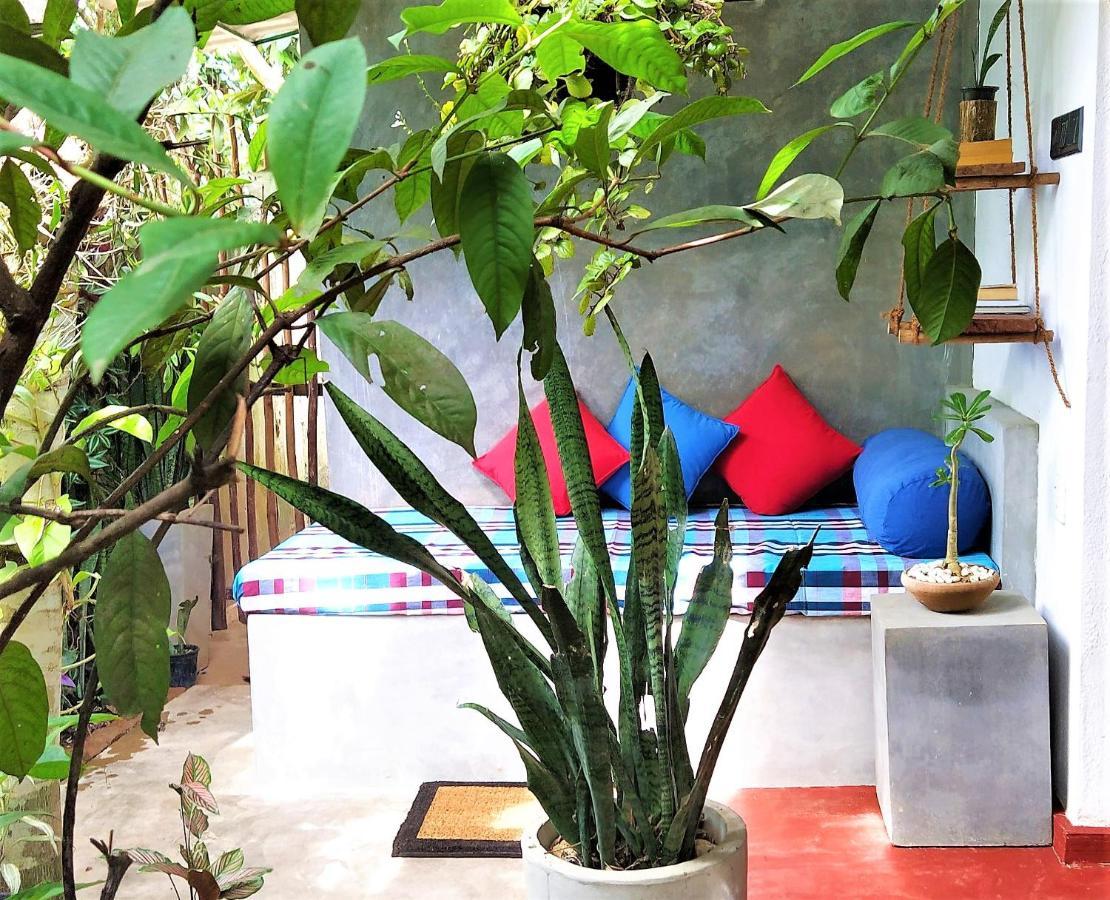 Sand Dollar House, Hiriketiya ديكويلاّ تين المظهر الخارجي الصورة